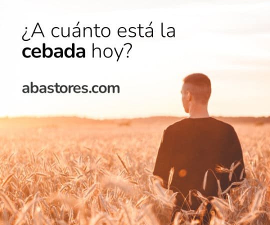 Persona mirando un campo de cebada con texto y URL abastores.com.